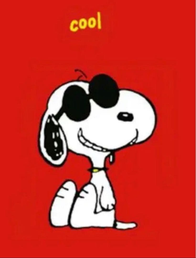 ドラ子さま☆スコットクラブ☆Vin