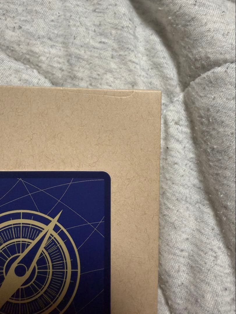 モンキー・D・ルフィ：手配書 SEC-SPC