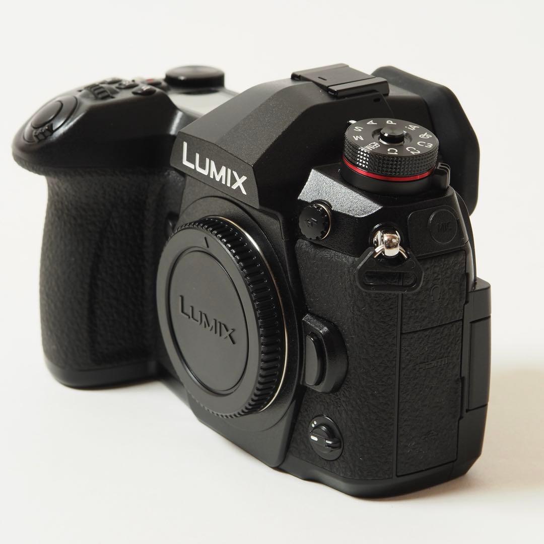 【美品】LUMIX G9 PRO ボディ DC-G9 +純正バッテリー付