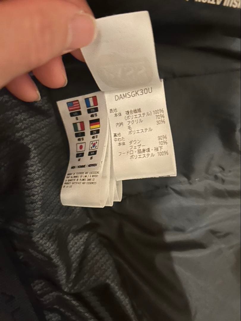 DESCENTE ALLTERRAIN マウンテニア　水沢ダウン