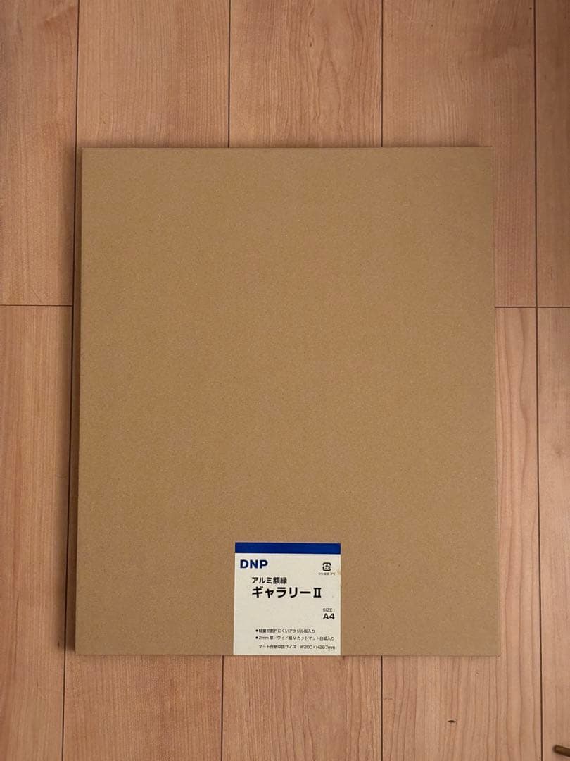 写真用額縁  DNP ギャラリーⅡ A4 ブラック　5枚セット1