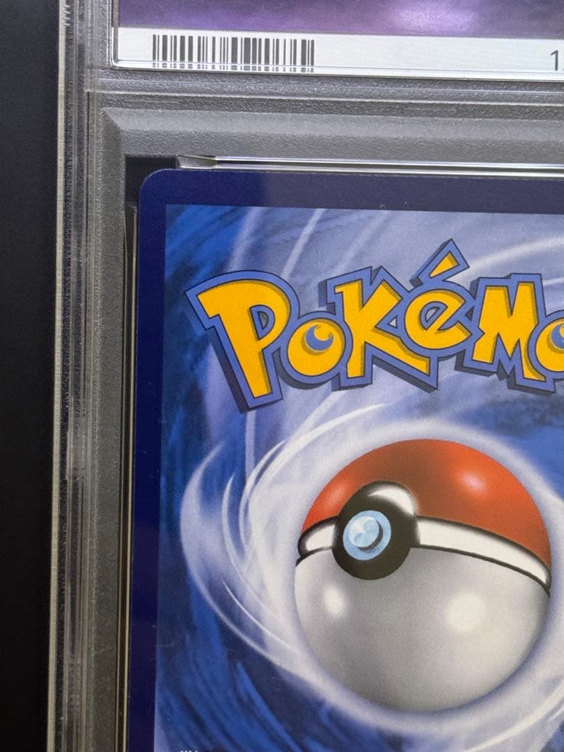 チリ　SAR　中国語