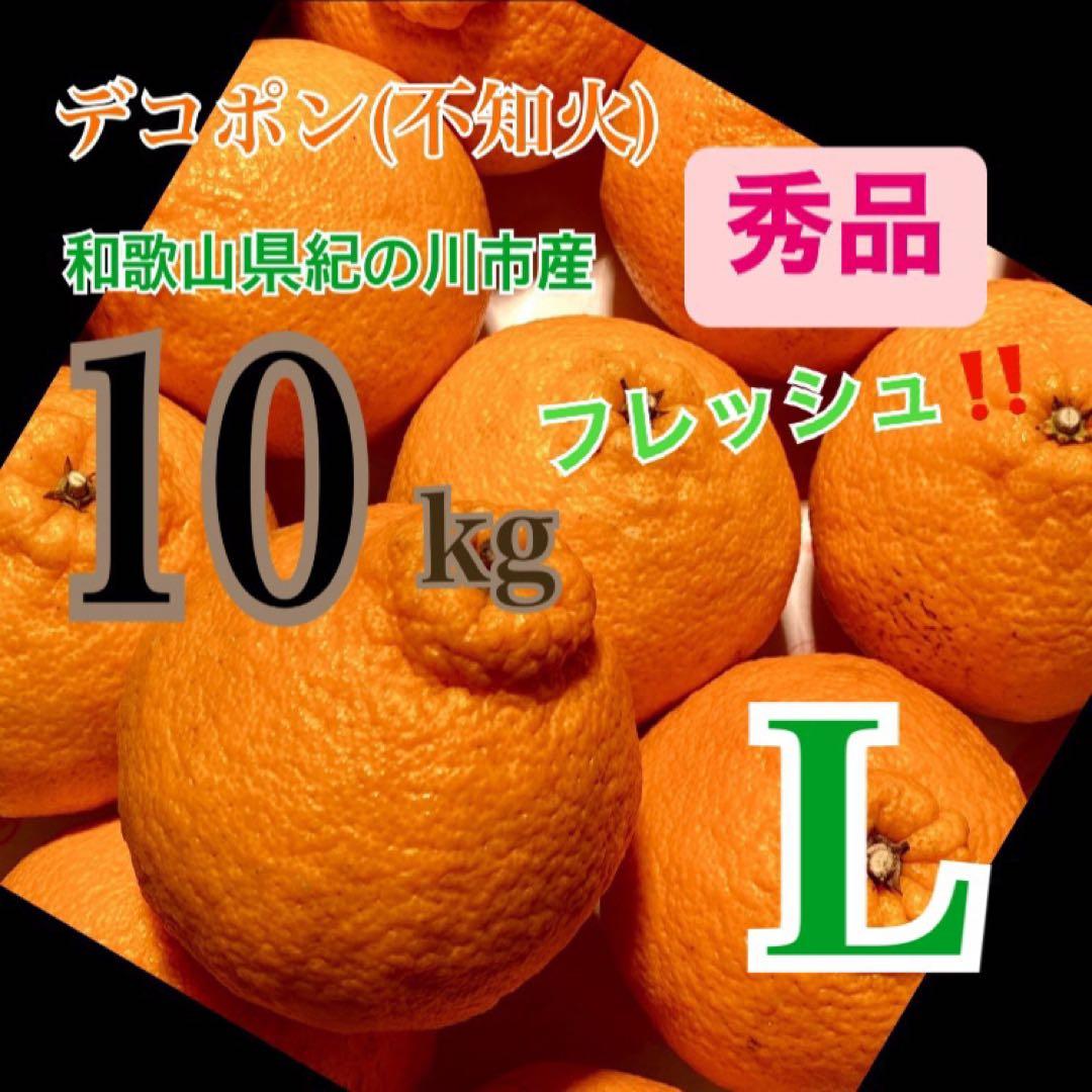 デコポン(不知火)Ｌサイズ秀品　箱込み10kg弱2箱　2L9個