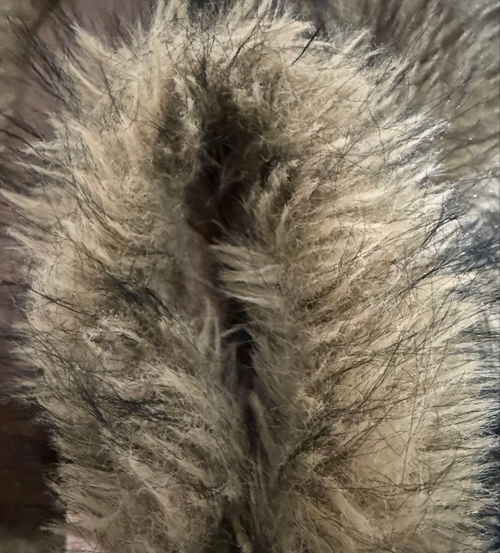 gossipclub INTER FACTORY ファージャケット　ブラウン