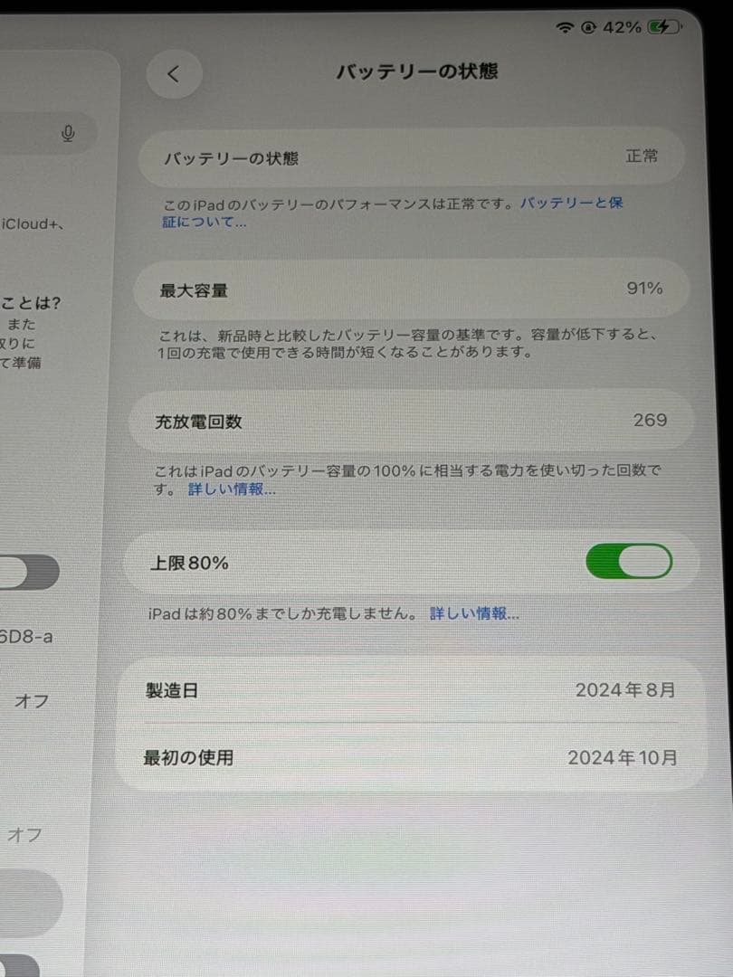 iPad mini 7 (A17 Pro) Wi-Fi+Cellular&おまけ