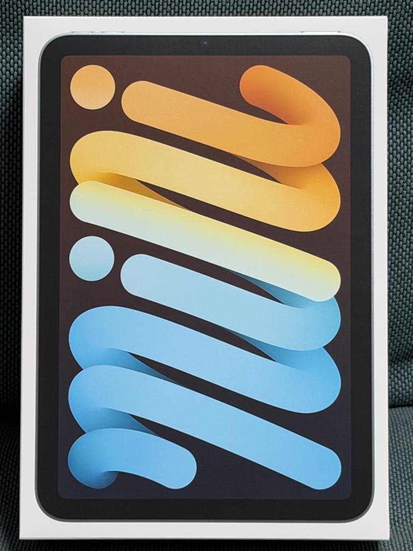 iPad mini 7 (A17 Pro) Wi-Fi+Cellular&おまけ