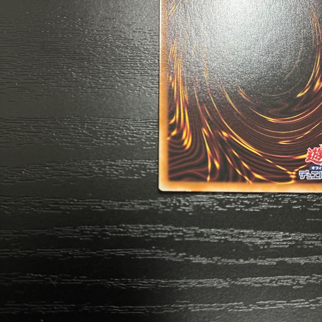 遊戯王　聖域に使えし練達の魔導師、聖域を守護せし光の龍２枚セット