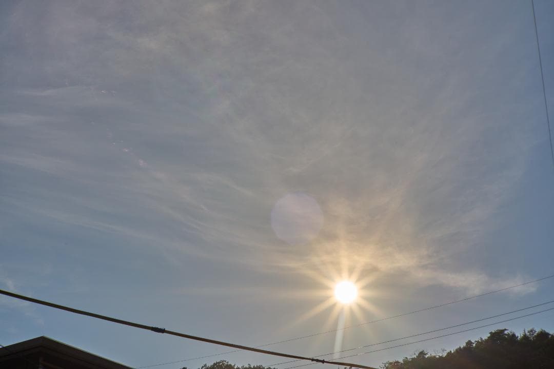 Nippon Kogaku NIKKOR-S・C 5cm F1.4 Sマウント