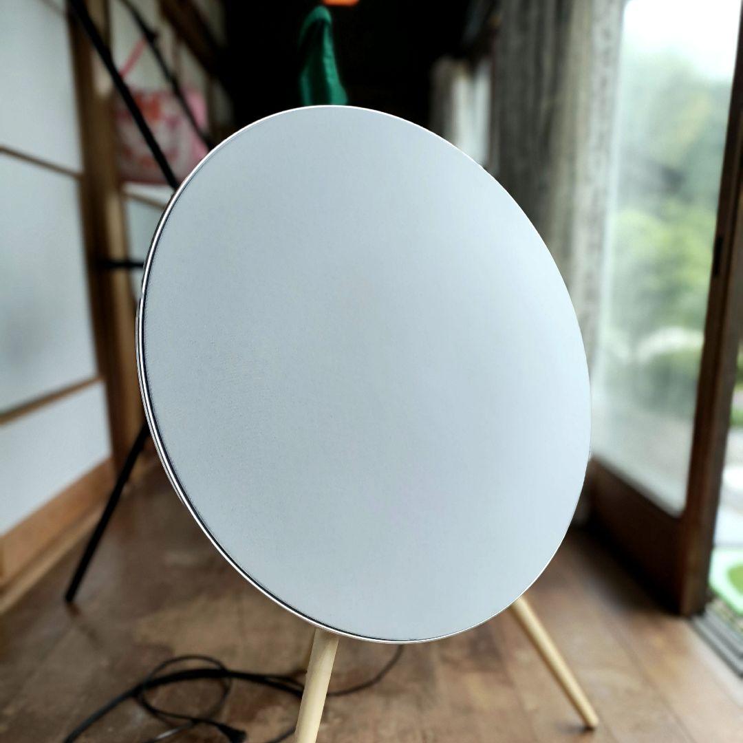 Beoplay A9 mkII 緑のカバーと壁掛けブラケット付
