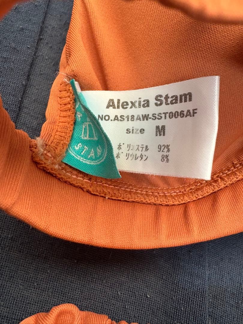 ALEXIA STAM ビキニセット　Mサイズ