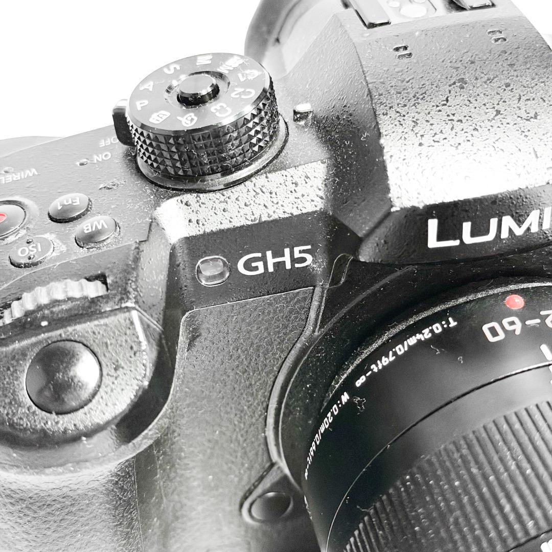 LUMIX DC-GH5-K ボディ ブラック ミラーレス一眼レフカメラ