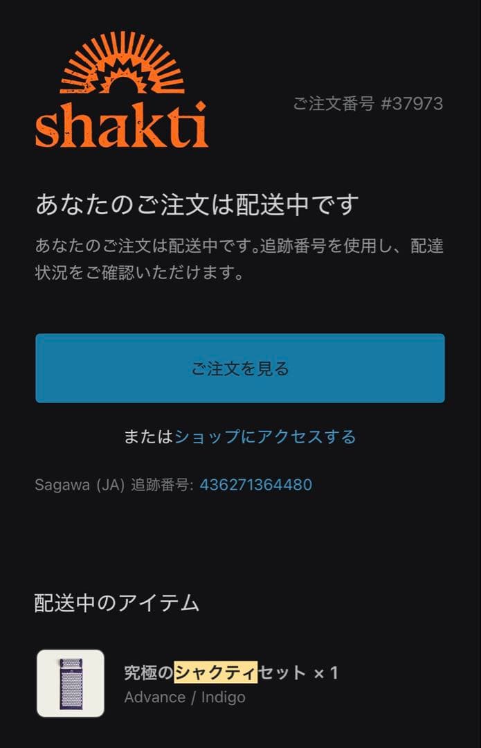 【正規品】シャクティマットピローセット レベル3 アドバンスshakti