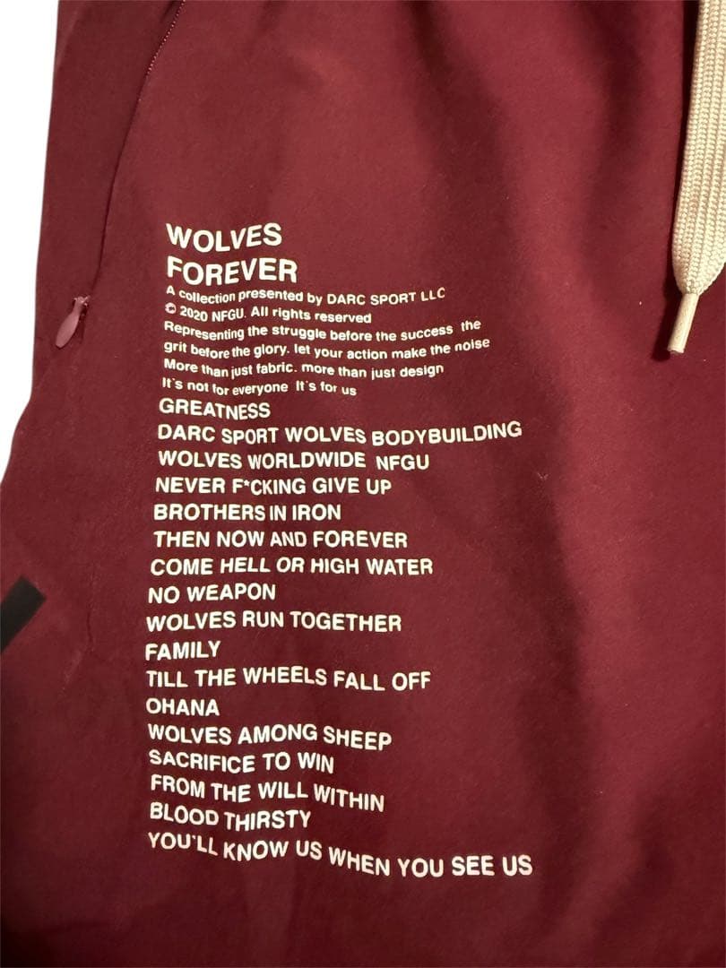 ダルクスポーツ　darksport 希少　バーガンディ ショートパンツ