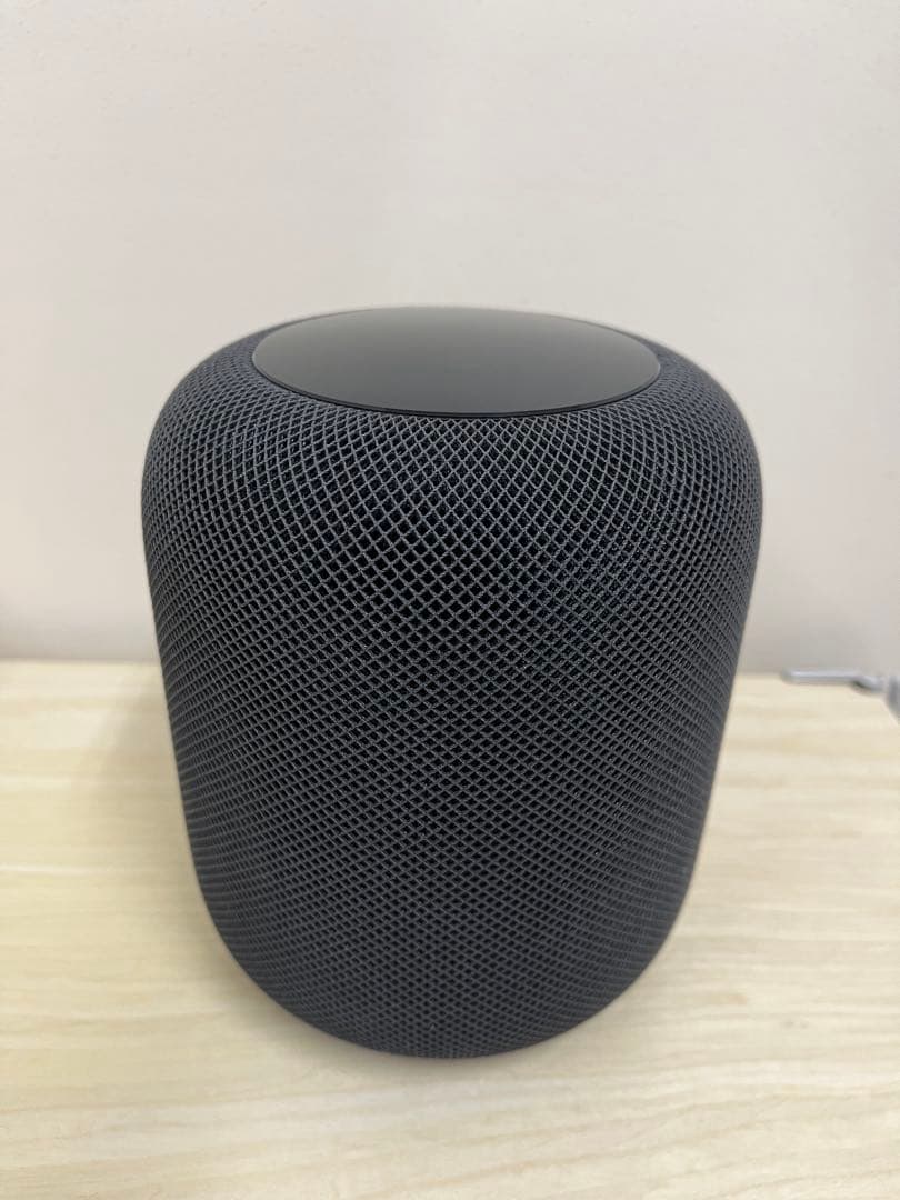 Apple Pod 第1世代 スペースグレー