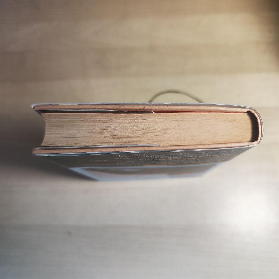 テイエムオペラオー 孤高の王者 初版 木村俊太