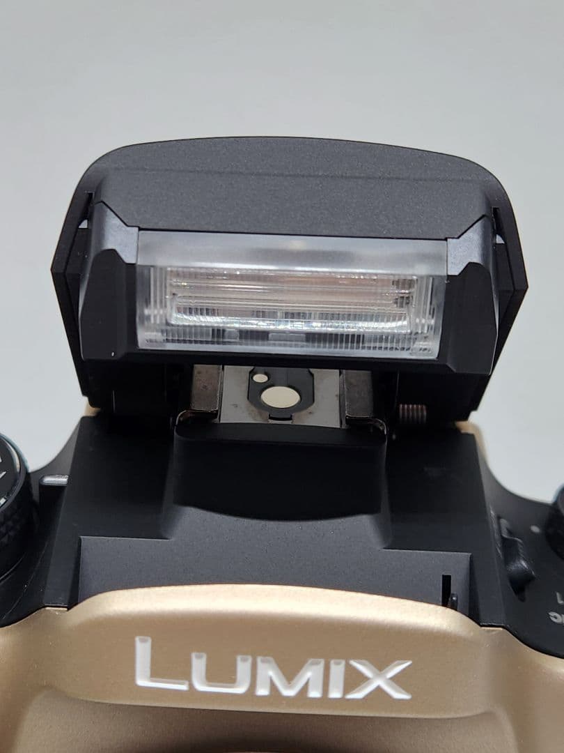 bassyLUMIX GH1 ゴールド AVCHD ミラーレスカメラ 美品