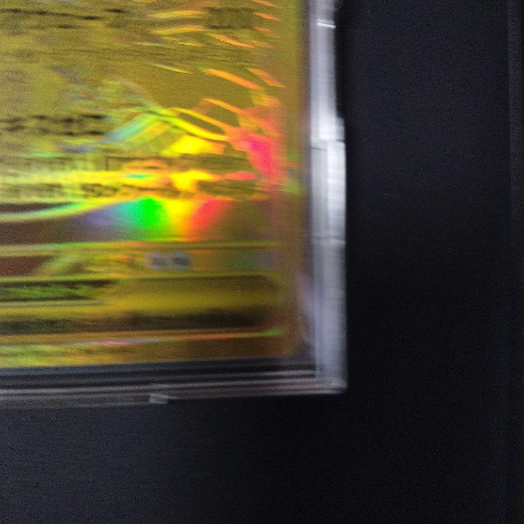 メガジガルデEX 310 HP トレーディングカード