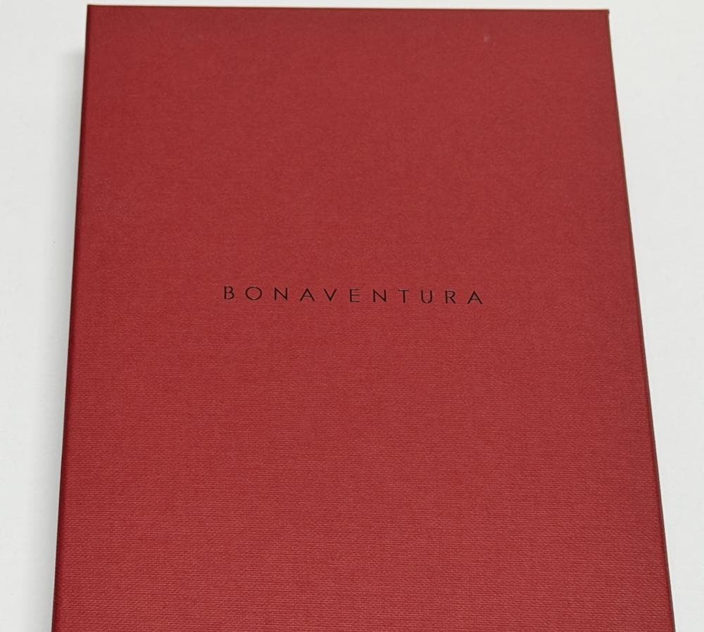 BONAVENTURA (iPhone 17) ハンドル付き バックカバーケース