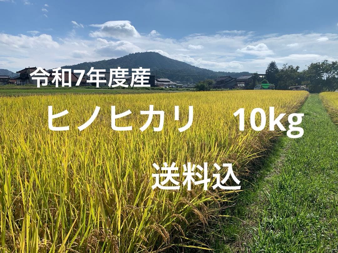 令和7年度産ヒノヒカリ10kg(玄米)送料込　農家のお米