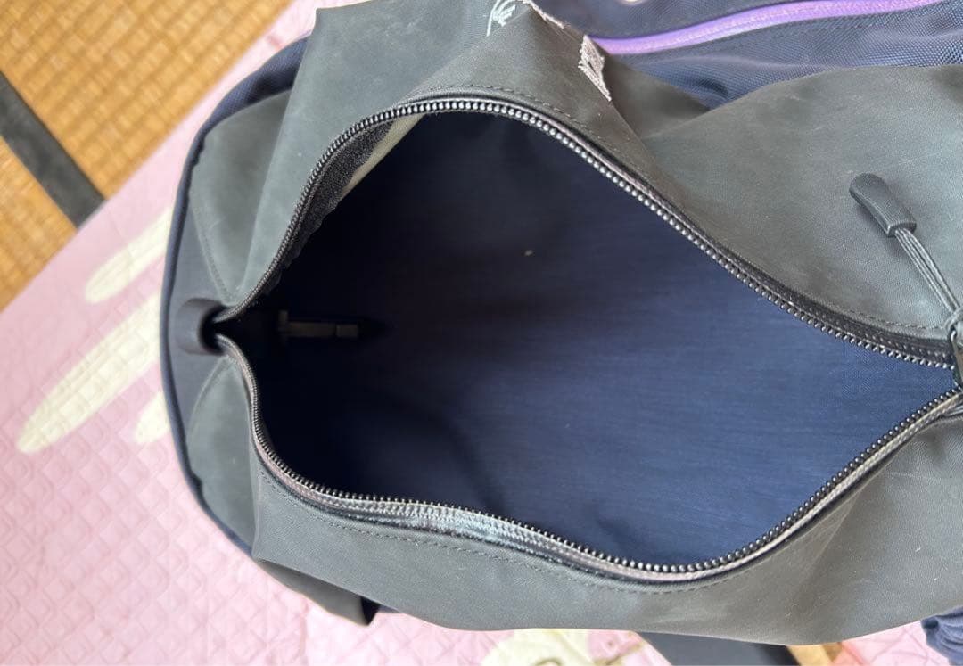 b*e様 廃品　超希少　ARC'TERYX Arro 22 BEAMS別注カラー