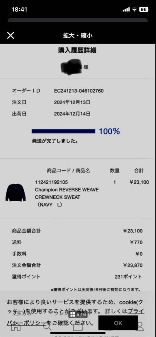 肉厚　SOPH.×Champion リバースウィーブ　ネイビー　Lサイズ　美品