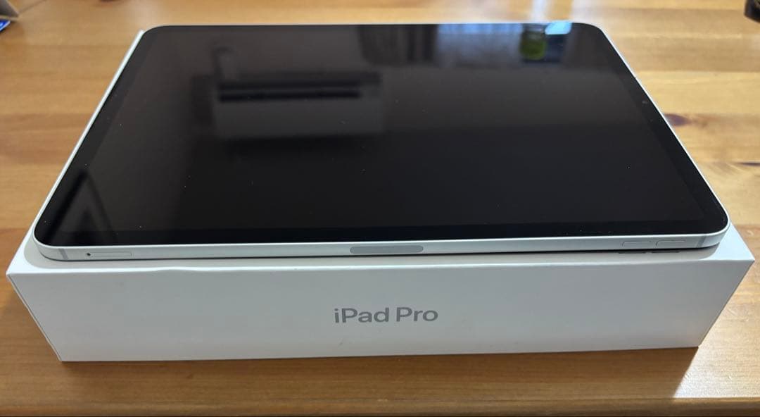 iPad Pro 11インチ 第2世代 128GB シルバー SIMロック解除済