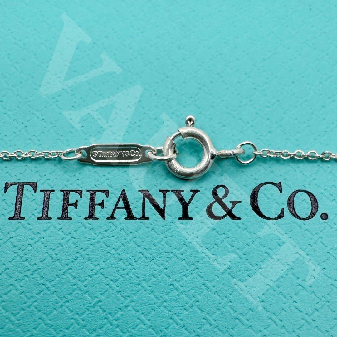TIFFANY&Co.極美品 インターロッキング サークルネックレス Ag925