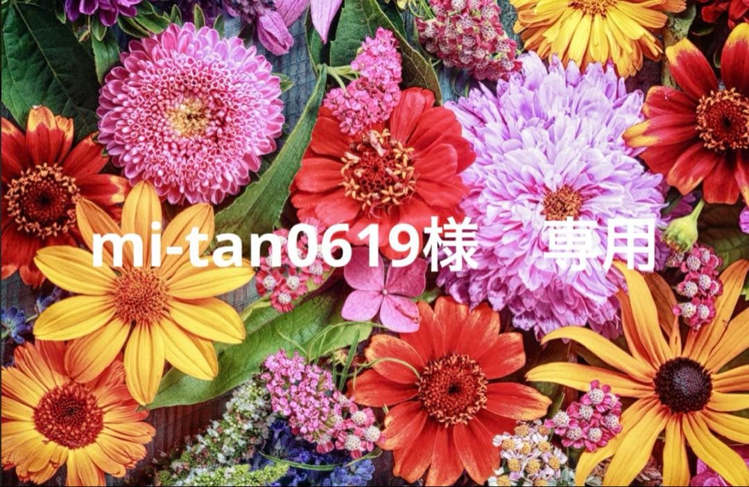 mi-tan0619