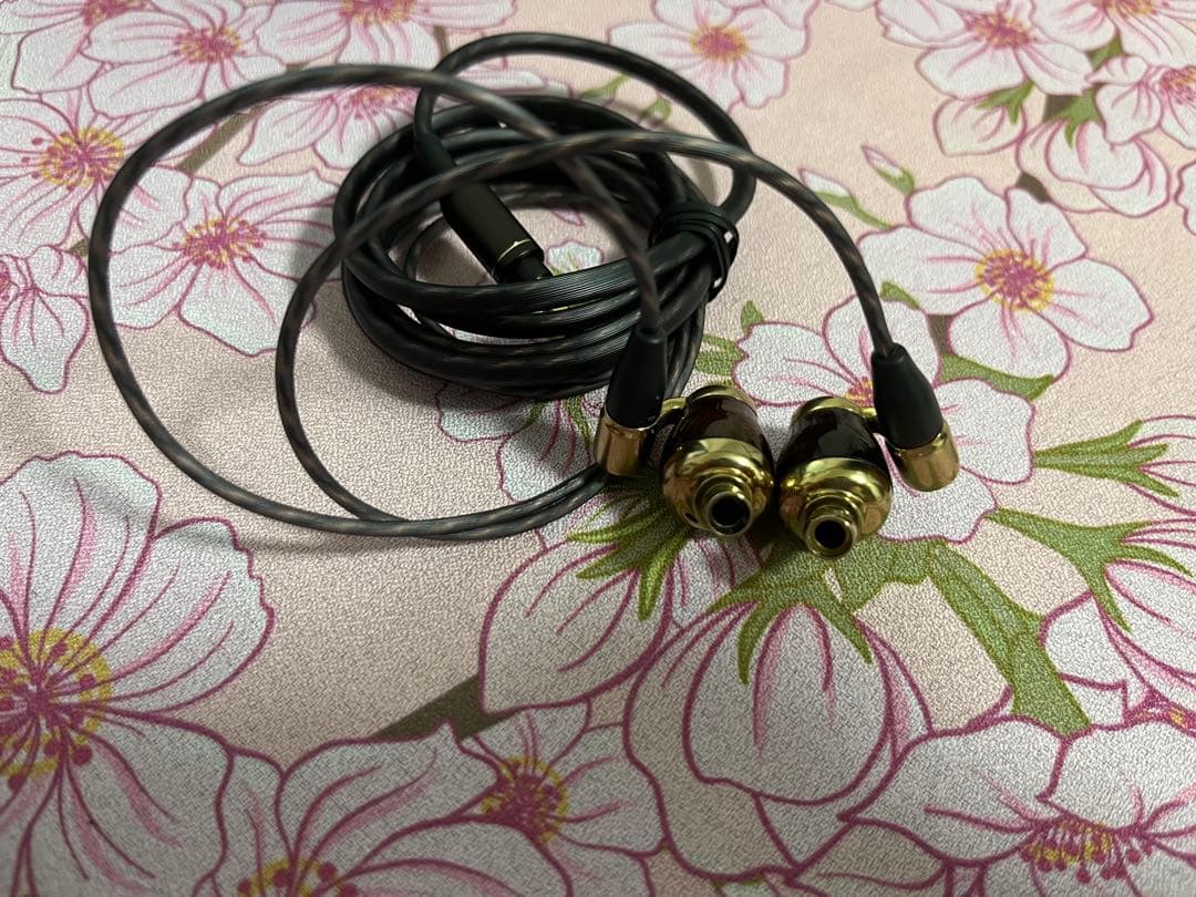 【破損有り】【中古】HA-FW10000 イヤホン