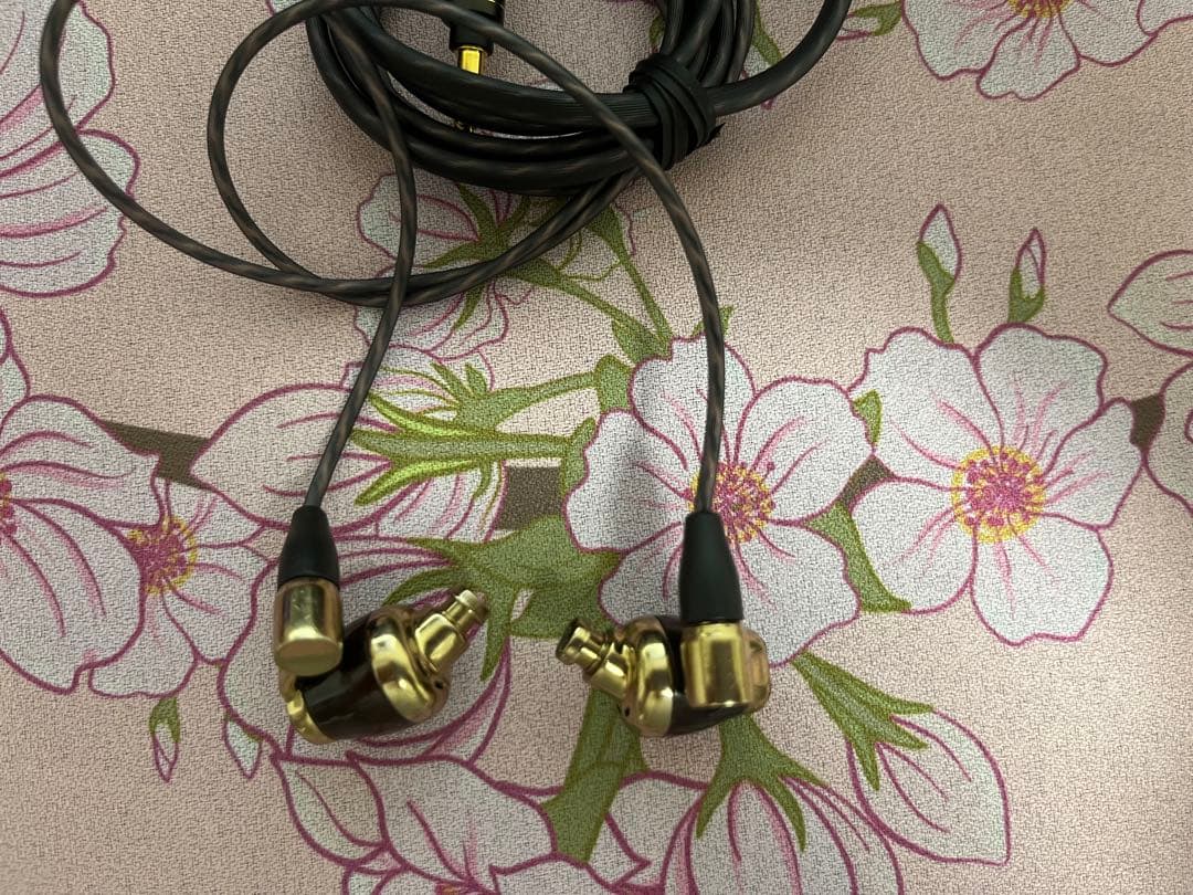 【破損有り】【中古】HA-FW10000 イヤホン