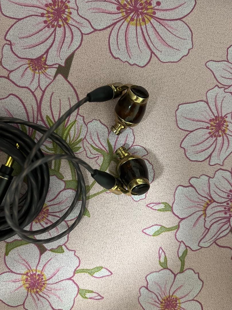 【破損有り】【中古】HA-FW10000 イヤホン