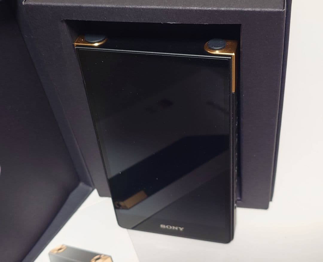 SONY NW-ZX707 WALKMAN 専用純正ケースセット