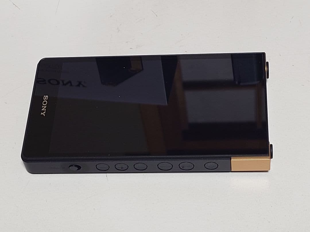 SONY NW-ZX707 WALKMAN 専用純正ケースセット