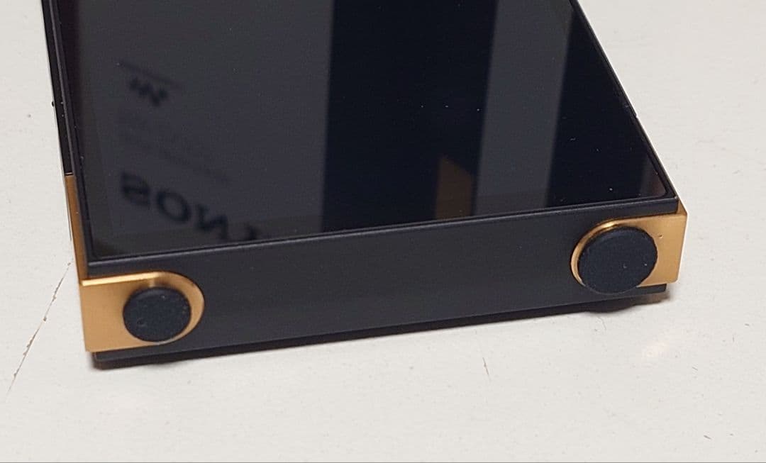 SONY NW-ZX707 WALKMAN 専用純正ケースセット