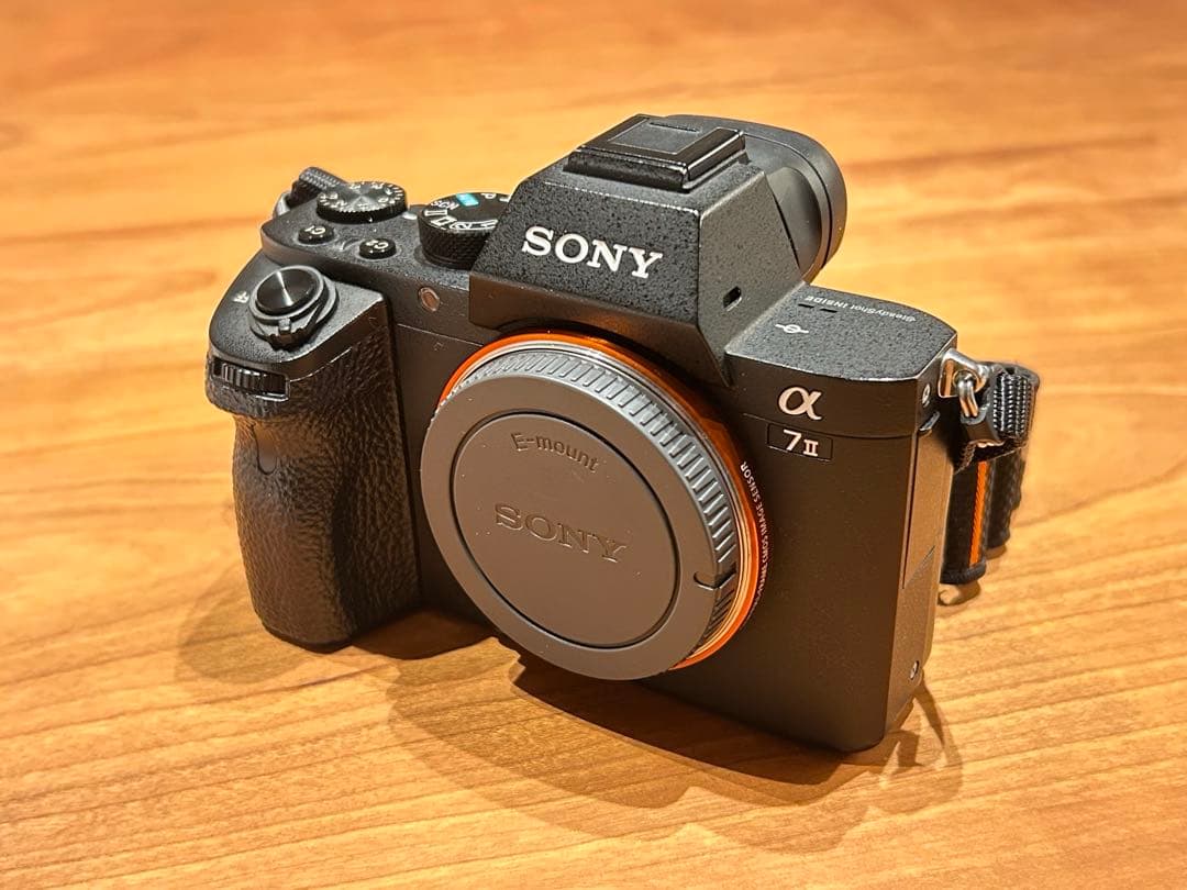 Sony α7 II ミラーレスカメラ バッテリー4個付き