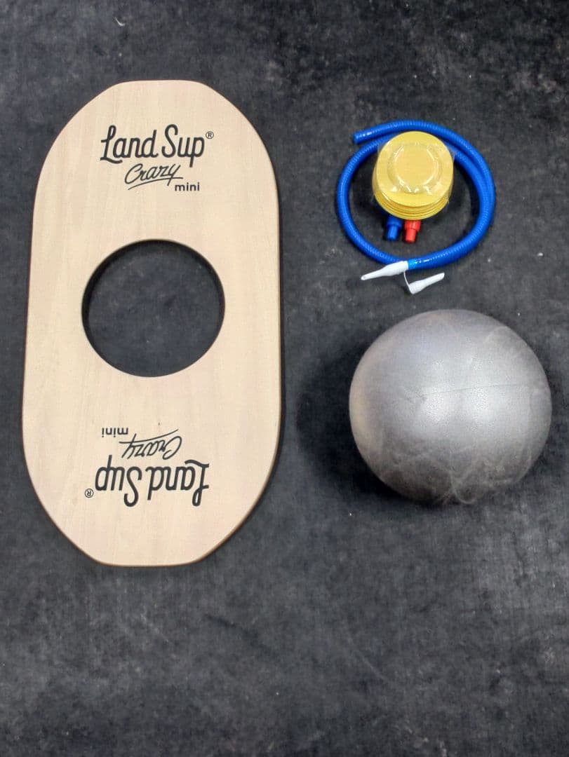 Land Sup Crazy mini ランドサップ バランスボードセット
