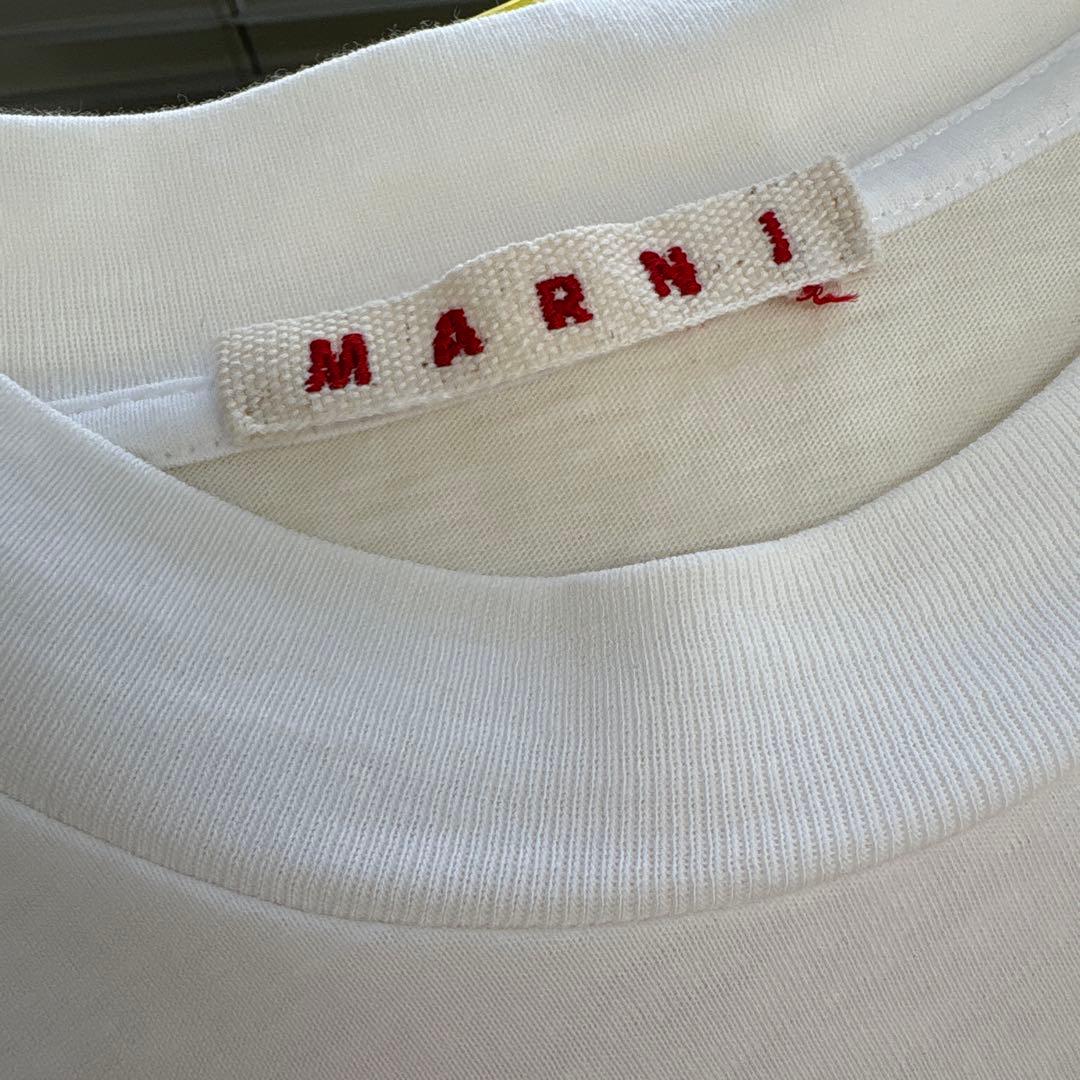 MARNI マルニ　Tシャツ