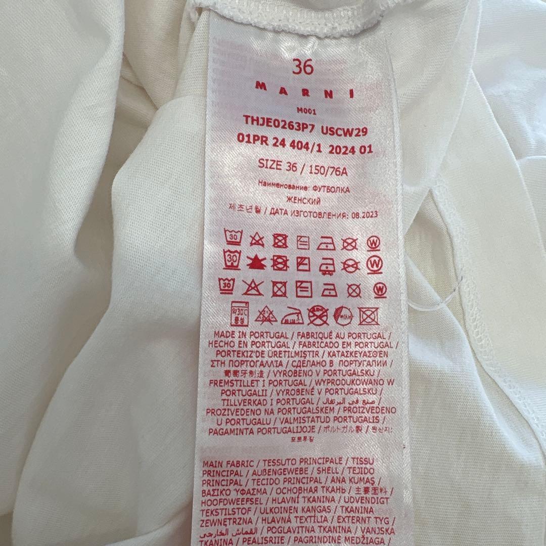 MARNI マルニ　Tシャツ