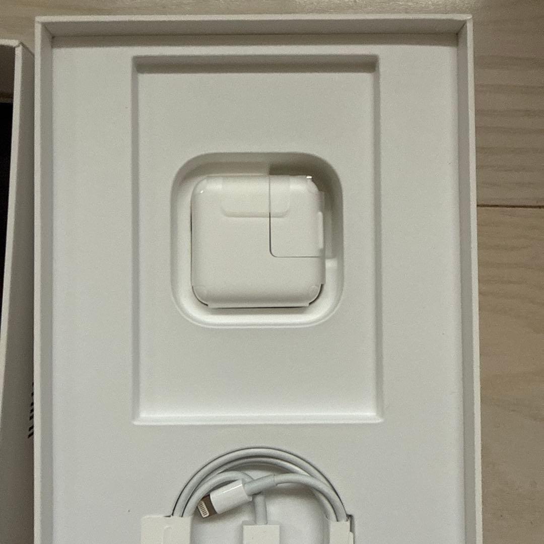 Apple iPadmini セルラー スペースグレー 本体　第五世代