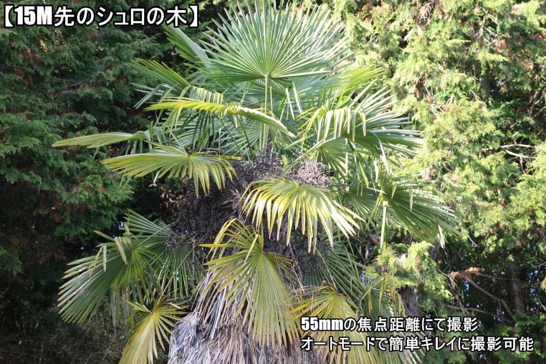 ✨プレゼント向け✨Canon Kiss X7i極少シャッター数【5725回】