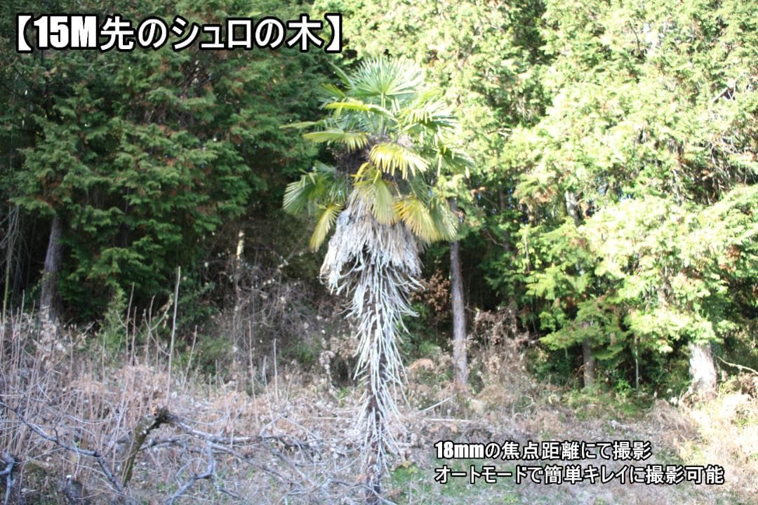 ✨プレゼント向け✨Canon Kiss X7i極少シャッター数【5725回】