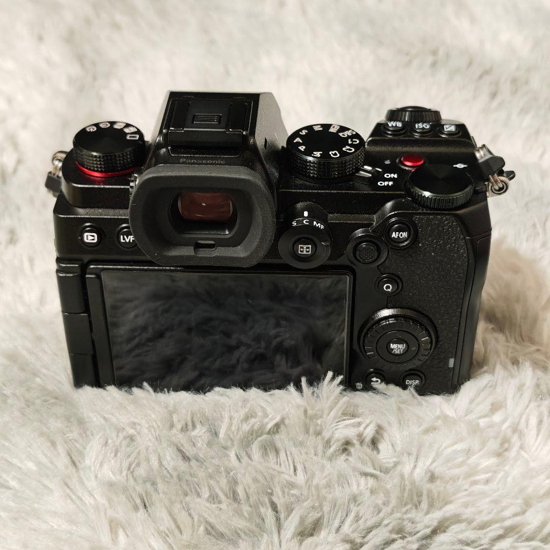 LUMIX S5 ➕ 28-70mm F2.8