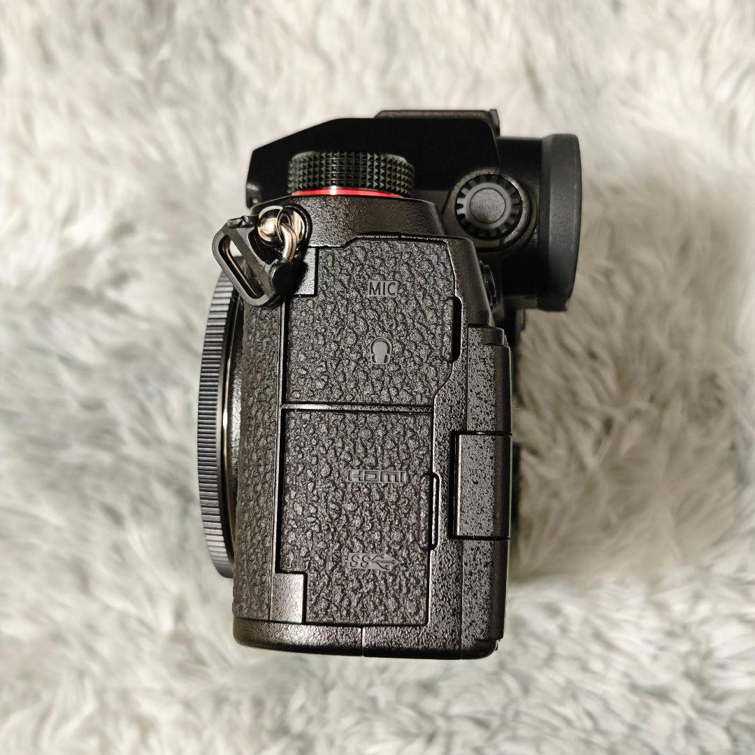 LUMIX S5 ➕ 28-70mm F2.8