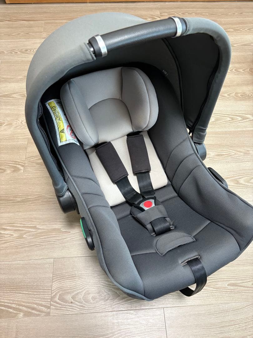 【tara】ベースのみ