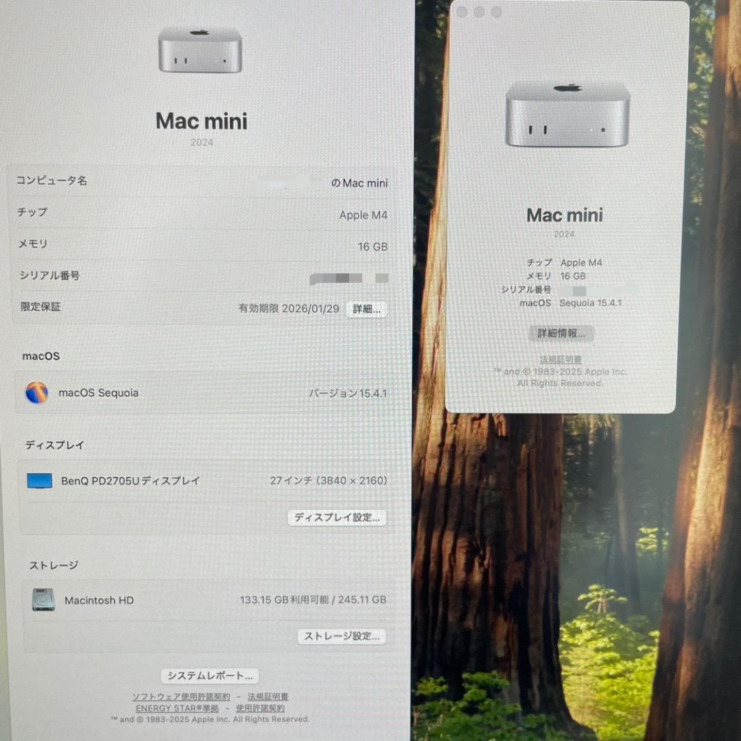 Macデスクトップ Apple Mac mini M4 16GB 256GB SSD