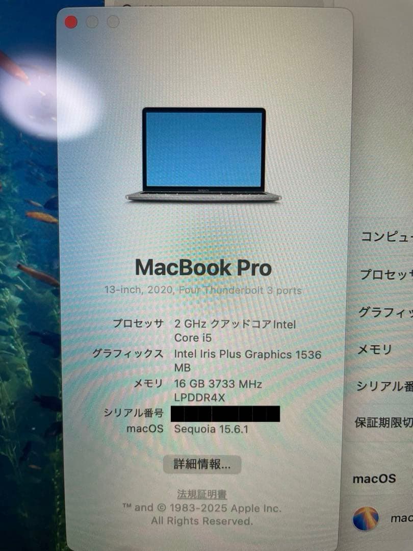 MacBook本体 Apple MacBook Pro 13 2020 i5 32GB 512GB