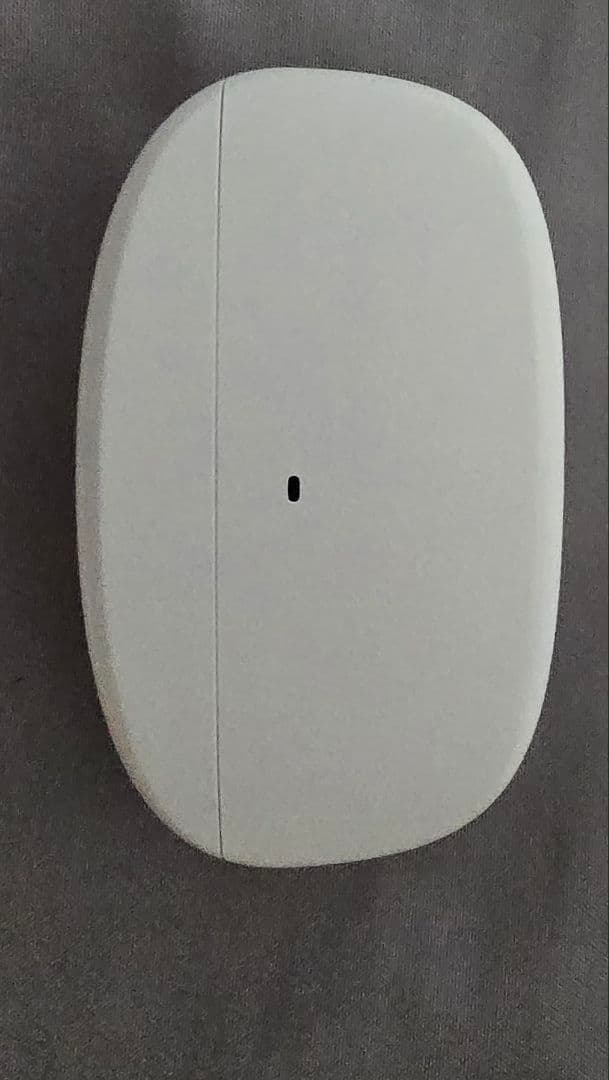 final ZE3000 ASMR用 完全ワイヤレスイヤホン