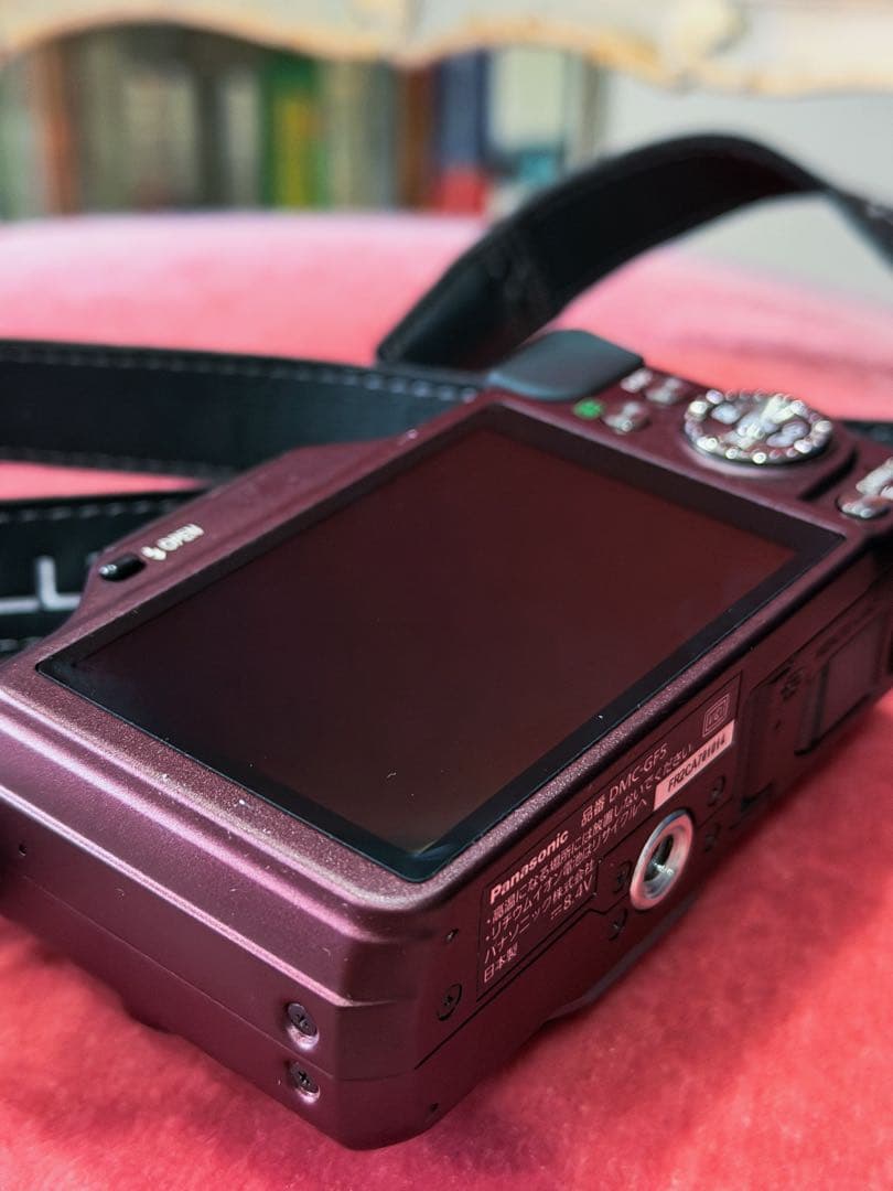 極上美品　LUMIX GF5 コンパクトデジタルカメラ
