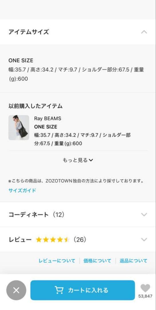 BEAURE × Ray BEAMS / 別注 2WAY バッグ