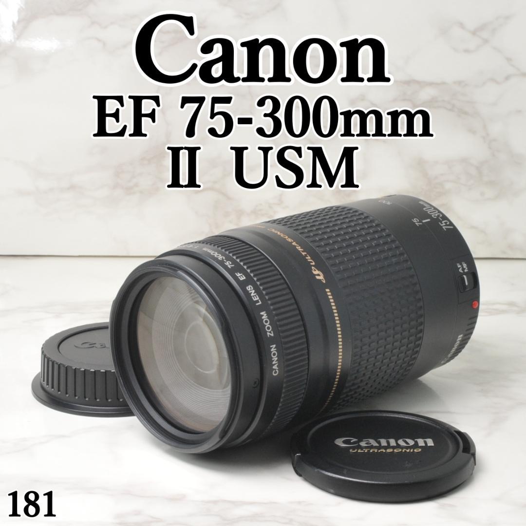 超望遠レンズ❣️Canon⭐️EF 75-300mm F4-5.6 Ⅱ USM